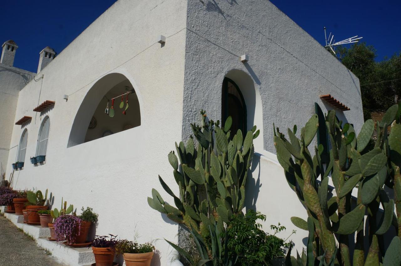 Villa Casa Molo 13 Mattinata Exterior foto